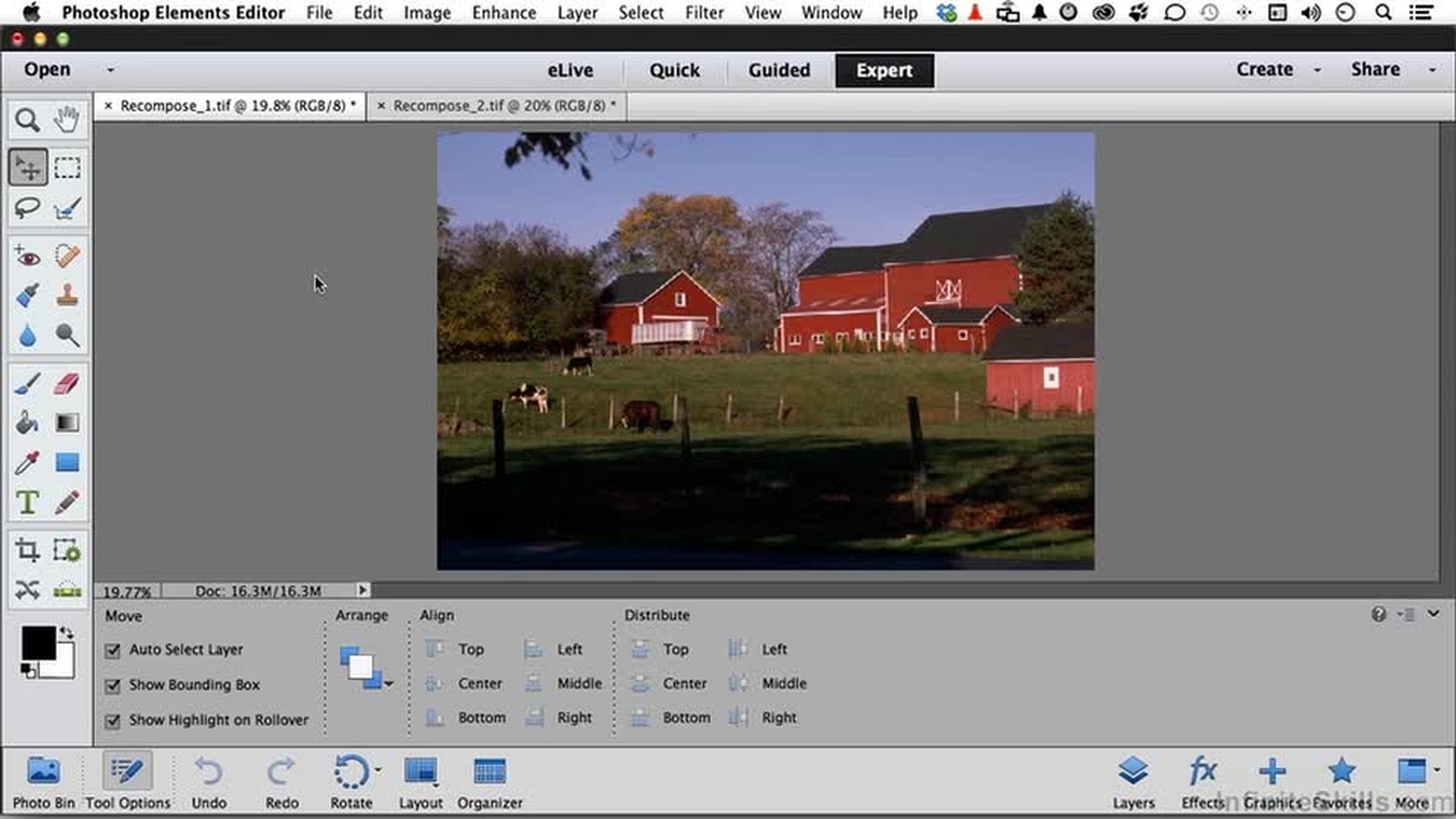 Adjust composition with the Recompose tool