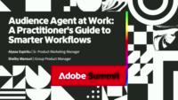 Audience Agent at Work: A Practitioner’s Guide to Smarter Workflows