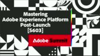 Mastering Adobe Experience Platform Post-Launch